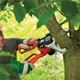 Perche élagueuse BlackDecker GK1000