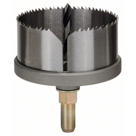 Scie-cloche Bosch 2608584139