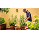 Pompe immergée Bosch GardenPump 18