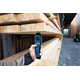 Hygromètre pour matériaux de construction Bosch PRO GMP 1-13