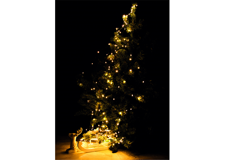 Lumières de Noël LED Bulinex 10-068