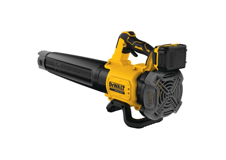 Souffleur de feuilles DeWalt DCMBL562P1