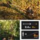 Coupe branches multifonction Fiskars PowerGear X UPX86