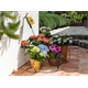 Kit d'irrigation des plantes Hozelock 2804