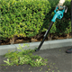 Souffleur de feuilles Makita 