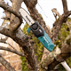 Elagueuse sur perche sans batterie Makita DUA200Z01
