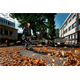 Souffleur de feuilles Metabo LB18 LTX BL
