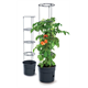 Pot à tomates 28l Prosperplast TOMATO GROWER antracyt