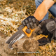 Perche élagueuse Worx WG324E.9