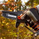 Perche élagueuse Worx WG325E